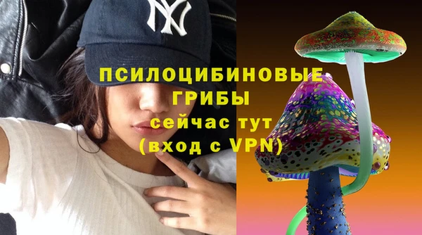spice Медвежьегорск