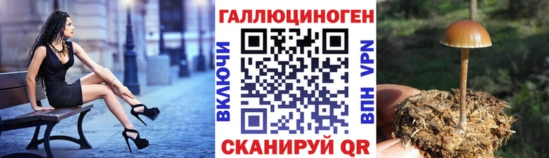 Купить закладки Руза Псилоцибиновые грибы GOLDEN TEACHER